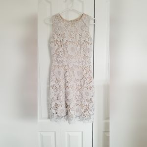 Ann Taylor LOFT beautiful dress